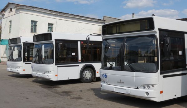 В Нижегородской области спортивные учреждения получили новые автобусы