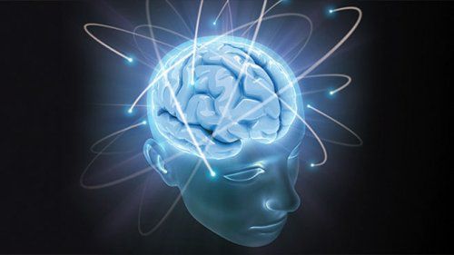 Учёные: При шизофрении развитие мозга происходит неправильно