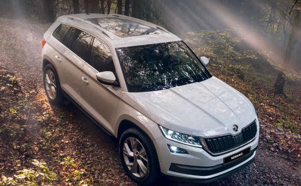 Плюсы и минусы дизельного и бензинового Skoda Kodiaq