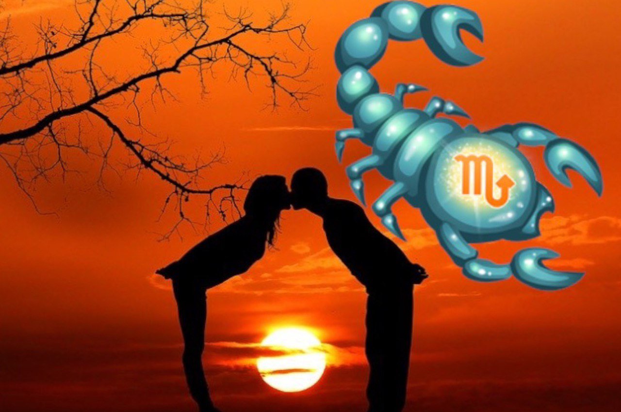 Скорпион знак зодиака любовь