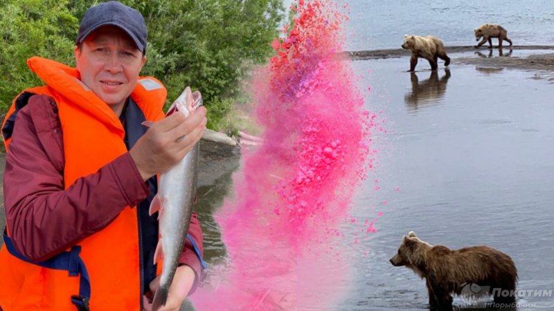 Евгений Миронов порыбачил с медведями. Автор изображения Нина Беляева. 
